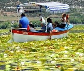 ÇİVRİL IŞIKLI GÖLÜ-KUYUCAK LAVANTA BAHÇELERİ-LİSİNİA DOĞAL YAŞAM PARKI-SALDA GÖLÜ