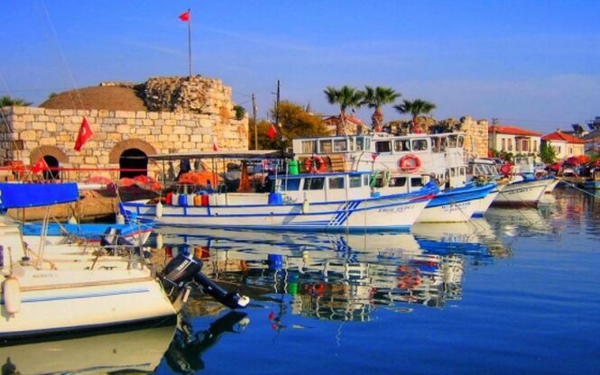 SEFERİHİSAR MANDALİNA FESTİVALİ