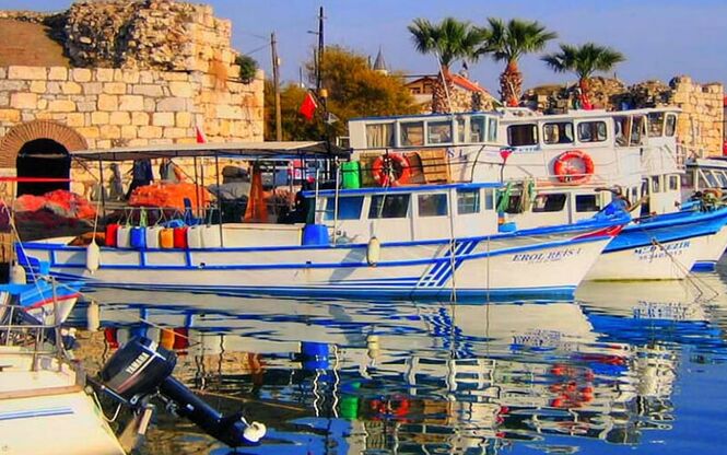 SEFERİHİSAR MANDALİNA FESTİVALİ