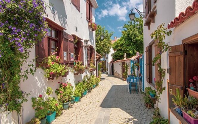 SEFERİHİSAR MANDALİNA FESTİVALİ