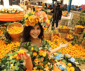 SEFERİHİSAR MANDALİNA FESTİVALİ