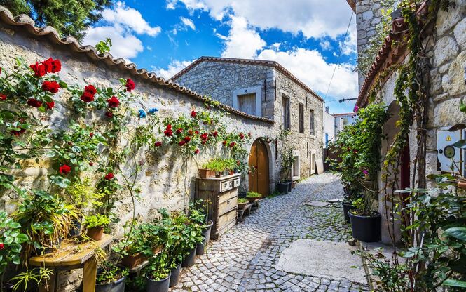 ALAÇATI OT FESTİVALİ