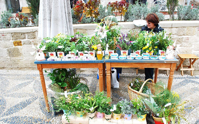 ALAÇATI OT FESTİVALİ