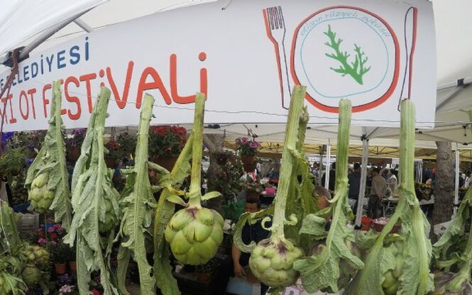 ALAÇATI OT FESTİVALİ