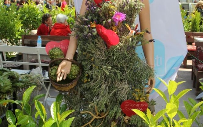 ALAÇATI OT FESTİVALİ