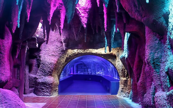 DENİZLİ ÇIKIŞLI ANTALYA TURU