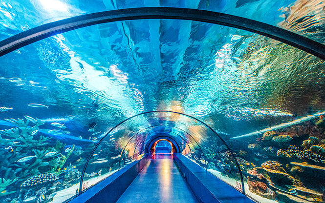 DENİZLİ ÇIKIŞLI ANTALYA TURU